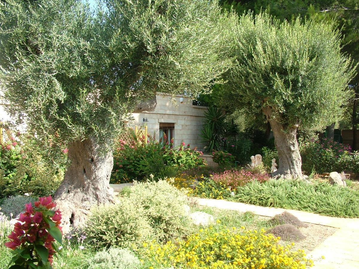 Villa Urania Торе Сан Джовани Удженто Екстериор снимка